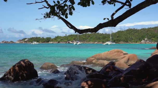 Seychelles. La isla Praslin. Hermoso yate privado en el agua azul del mar en el fondo. Disparando desde detrás de árboles y piedras grandes. Turismo, relax, vacaciones, concepto de viaje . — Vídeo de stock