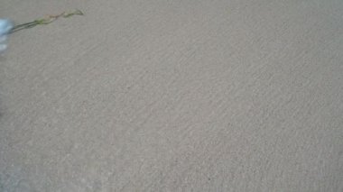 Seyşeller. Praslin Adası. Büyük taşlar yakın kadar köpük dalgaları rulo. Tropikal ada lüks tatil. Turizm, dinlenmek, tatil, seyahat konsepti. Yavaş hareket.