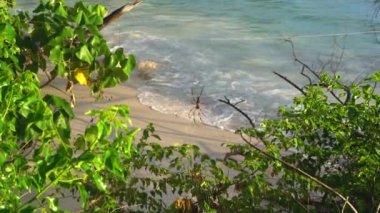 Seyşeller. Praslin Adası. Kumlu plaj, okyanus ve haddeleme dalgaları güzel görünümü. Tropikal bir adanın kıyısında egzotik ağaçlar büyür.