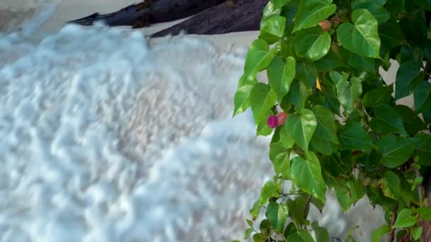 Seyşeller. Praslin Adası. Kumlu plaj, okyanus ve haddeleme dalgaları güzel görünümü. Tropikal bir adanın kıyısında egzotik ağaçlar büyür. Yavaş hareket. — Stok video