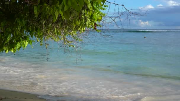 Seyşeller. Praslin Adası. Kumlu plaj, okyanus ve haddeleme dalgaları güzel görünümü. Tropikal bir adanın kıyısında egzotik ağaçlar büyür. — Stok video