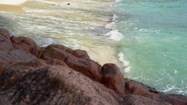 Seychelles. La isla Praslin. Olas espumosas ruedan en la playa de arena. Piedras en primer plano. Movimiento lento . — Vídeo de stock