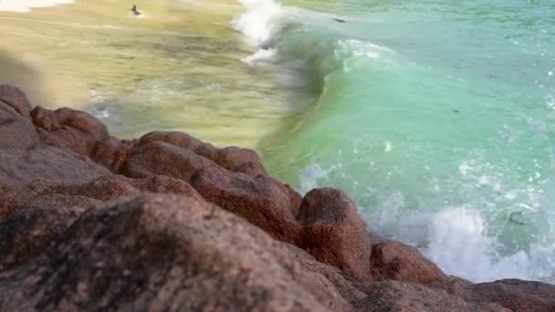 Seychellerna. Ön Praslin. Skummande vågor rullar på sand stranden. Stenar i förgrunden. Slow motion. — Stockvideo