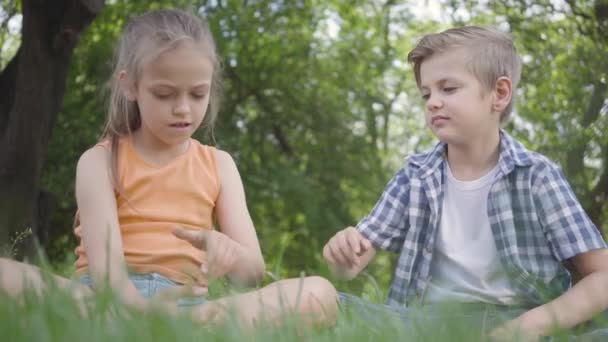 Portrét dvou zábavních dětí sedících na trávě v parku. Kluk, co si hraje s broukou a snaží se ho vzít. Pár šťastných dětí. Zvláštní bezstarostní děti Odpočívej venku. Zobrazení dole — Stock video