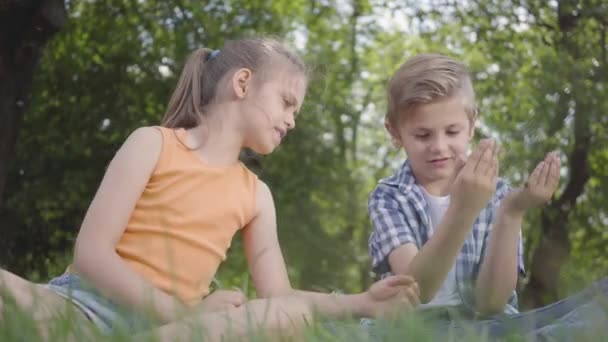 Portret twee grappige kinderen zittend op het gras in het park spelen. De jongen spelen met een bug, meisje proberen om het te nemen. Een paar gelukkige kinderen. Grappige zorgeloze kinderen rusten buiten. Onderste weergave — Stockvideo