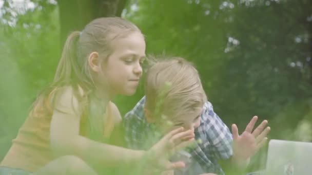 Portrait of a handsome boy and pretty girl with long hair waving hands in the camera of a laptop in the park. Summertime leisure outdoors. Lovely kids talking on the internet with a friend — Stock Video