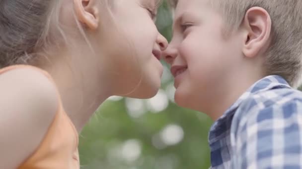 Close-up portrait of cute boy and girl sitting in the park, trying to rub their noses and having fun. A couple of happy children. Funny carefree kids in love outdoors. — Stock Video