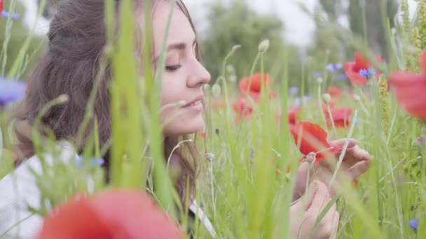 Zijaanzicht van mooi meisje in Poppy veld tranen uit bloemblaadjes van een klaproos bloem close-up. Verbinding met de natuur. Groene en rode harmonie. Contrasterende kleuren in Poppy. Bloeiende klaprozen. — Stockvideo