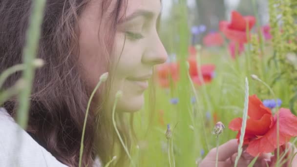 Porträt des netten Mädchens, das im Mohnfeld sitzt. Verbindung mit der Natur. Grün-rote Harmonie. Kontrastfarben in Mohn. Blühender Mohn. Roter Mohn in den Händen des Mädchens. — Stockvideo