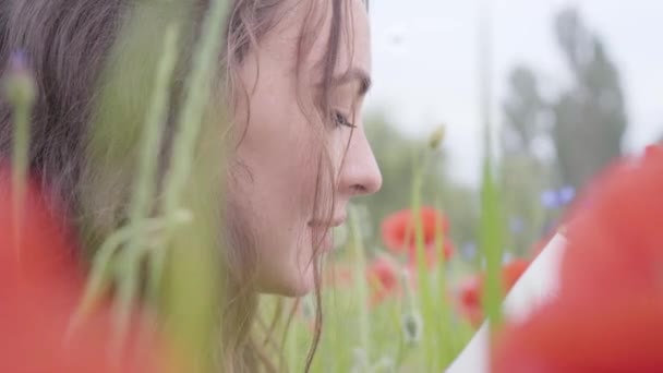 Sevimli sevimli kadın haşhaş alanında kitap okuma açık havada oturan Portresi. Haşhaş kontrast renkler. Çiçek açan haşhaşlar. Yakın çekim kadın yüzü. Aşk doğa kavramı. — Stok video