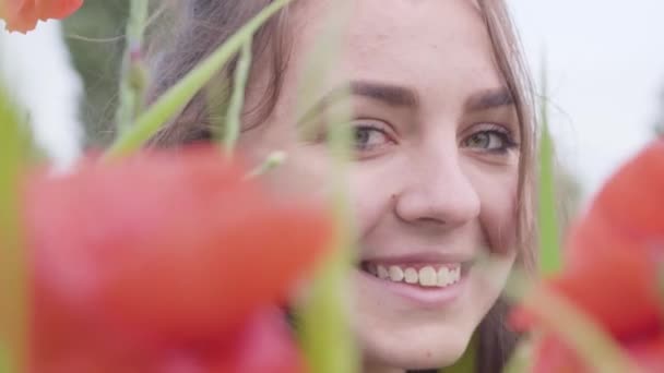 Primer plano retrato linda chica mirando la cámara sentado en el campo de amapola. Linda chica sonriente feliz descansando al aire libre. Colores contrastantes en amapola. Amapolas florecientes. Amor concepto de la naturaleza. Ocio en la naturaleza . — Vídeo de stock