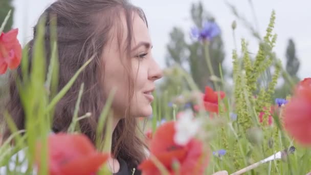 Zijaanzicht van behoorlijk glimlachend meisje in een klaproos veld met een borstel voor het schilderen van close-up. De vrouwelijke kunstenaar maken meesterwerk. Verbinding met de natuur. Groene en rode harmonie — Stockvideo