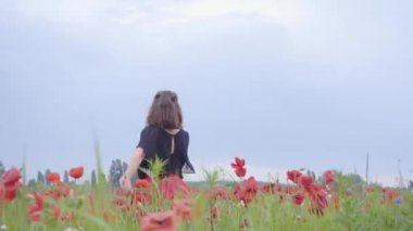 Sevimli genç kadın çalışan ve mutlu bir şekilde gülümseyen bir haşhaş alanında dans. Doğayla bağlantı. Doğada boş zaman. Çiçek açan haşhaşlar. Özgürlük.