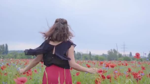 Cute young girl running and dancing in a poppy field smiling happily. Connection with nature. Leisure in nature. Blossoming poppies. Freedom. — Stock Video
