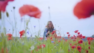 Haşhaş tarlasında yürüyen sevimli genç kız hasır sepette çiçek topluyor. Doğayla bağlantı. Yeşil ve kırmızı uyum. Açık havada boş zaman, yaz eğlencesi