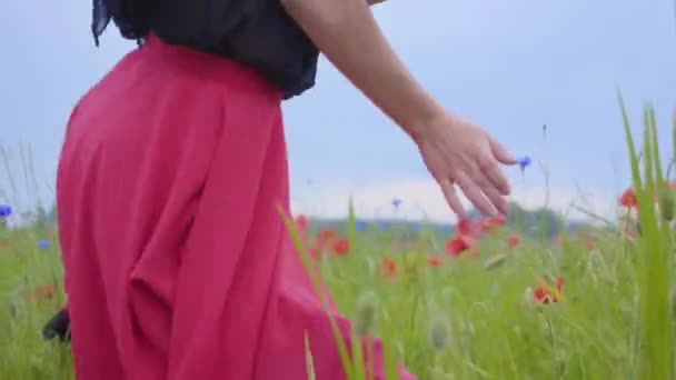 양귀비 밭에서 행복하게 회전하고 춤을 추는 인식 할 수없는 젊은 슬림 소녀. 자연과의 연결. 자유로운 정신, 감정, 열정. 레저 아웃도어, 여름의 즐거움 — 비디오