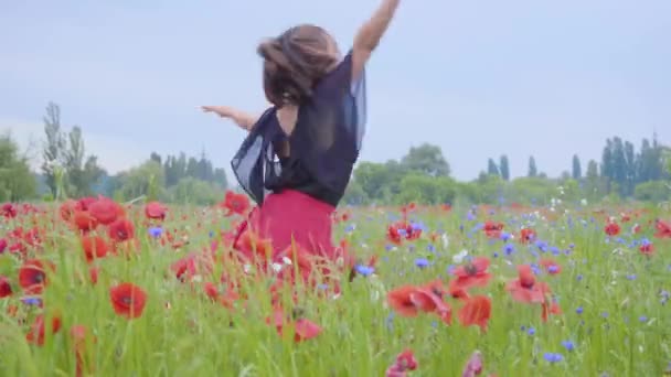 ポピー畑で走って踊る可愛い若い女性が楽しそうに微笑んでいる。自然とのつながり。自然の中でレジャー。ポピーの開花。自由. — ストック動画