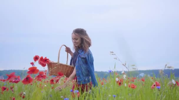 Retrato de una chica bonita caminando en el campo de amapola recogiendo flores en la canasta de mimbre. Conexión con la naturaleza. Armonía verde y roja. Ocio al aire libre, diversión veraniega. Cámara alejándose — Vídeo de stock