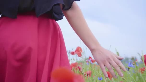 Ženská ruka procházející makím polem. Dívky v rukou se dotýkaly červených květů. Koncept lásky. Souvislost s přírodou. Volný čas v přírodě. Kvetoucí koláč.