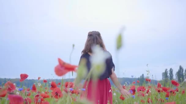 Een jong meisje dat door het papaverveld loopt. Vrouwelijke hand aanraken rode papaver bloemen close-up. Liefde natuur concept. Verbinding met de natuur. Vrije tijd in de natuur. Bloeiende papavers. — Stockvideo