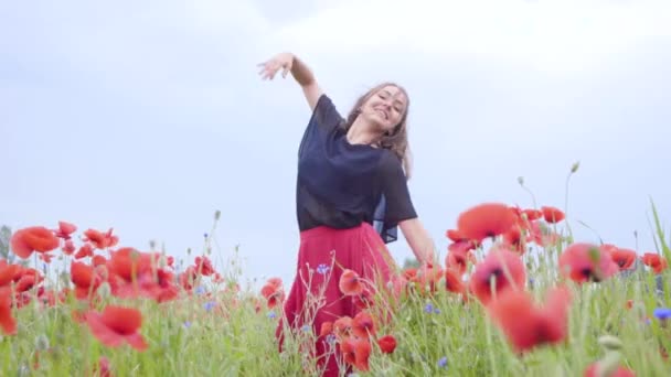 ポピー畑で踊る可愛い若い女性が楽しそうに微笑んでいる。自然とのつながり。自然の中でレジャー。ポピーの開花。自由. — ストック動画