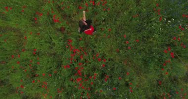 Müzik dinleyerek ve mutlu bir şekilde gülümseyerek bir haşhaş alanında dans kulaklık takan güzel genç kadın yukarıdan görünümü. Doğayla bağlantı. Doğada boş zaman. Çiçek açan haşhaşlar. Drone çekim.
