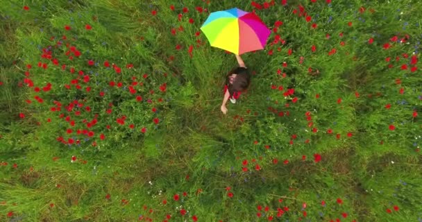 Vista desde arriba de la linda joven bajo colorido paraguas bailando en un campo de amapola sonriendo felizmente mirando a la cámara. Conexión con la naturaleza. Ocio al aire libre, diversión veraniega — Vídeo de stock
