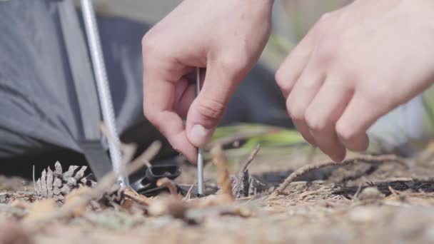 Mannelijke handen die een tent van dichtbij opzetten. Concept van kamperen. Vrije tijd en reis naar de natuur. — Stockvideo