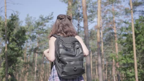 Egy fiatal nő eltéved az erdőben, segítséget kér. A lány kétségbeesett, egyedül van az erdőben. — Stock videók