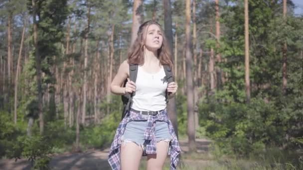 Porträt ziemlich verängstigte junge Frau verirrt sich in den Wald, sie ruft um Hilfe. das Mädchen verzweifelt, sie ist allein im Wald. Reise in die Natur. — Stockvideo