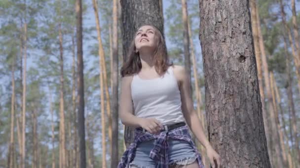 Porträtt söt ung kvinna som sträcker sin kropp, gör övningar i tallskogen. Hälsosam livsstil, enighet med naturen, kort livslängd. Fritid utomhus — Stockvideo