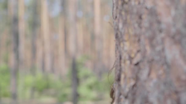 Close-up portret van vrolijk glimlachende jonge vrouw die van achter de boomstam kijkt en weer verbergt. Eenheid met wilde natuur. Het meisje rust buitenshuis — Stockvideo