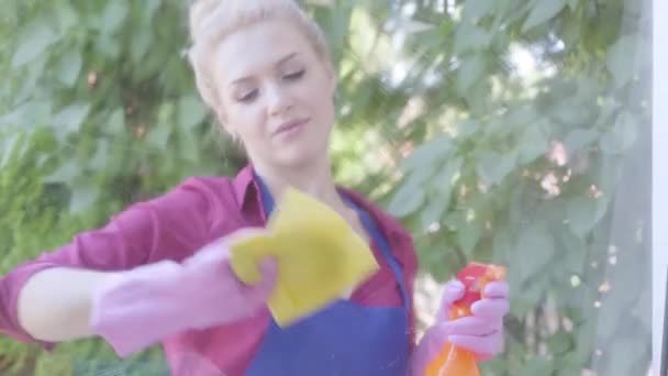 Portret schattig blond jonge vrouw in blauwe schort het raam wassen met raam rag in de kamer. Schoonmaak dag. Positieve huishoudster reinigt het huis — Stockvideo