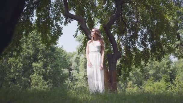 Portré imádnivaló fiatal lány, hosszú barna haja napszemüveg és egy hosszú, fehér nyári divat ruha alatt álló ágak egy fa a parkban. Szabadidő egy csinos nő a szabadban. — Stock videók