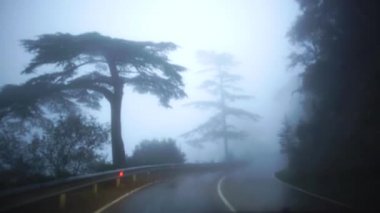 Yolculuk sırasında yol kenarında sürüş araba pitoresk doğası ile yağmurlu sisli yolun görünümü. Kıbrıs. Yavaş çekim.