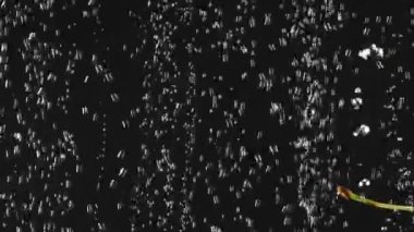 Siyah arka plan üzerinde köpüklü suya sıçrayan taze kiraz düşen. Suda meyve. Organik gıda. Yavaş çekim. Close. Hızlandırıcılı video.