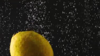 Siyah arka plan üzerinde köpüklü suya sıçrayan taze sarı limon Düşen. Makro çekimi. Close. Hızlandırıcılı video.