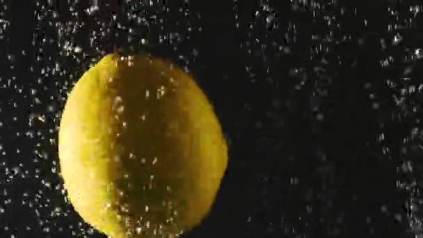 Lemon segar jatuh ke dalam air dengan gelembung di latar belakang hitam. Beri segar di dalam air. Berberi organik, buah, makanan sehat. Gerakan lambat . — Stok Video