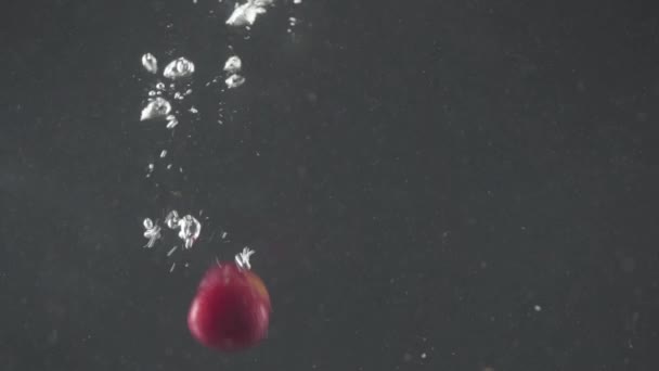Caindo cerejas frescas e cerejas salpicando na água sobre fundo preto. Close-up. Vídeo com acelerado . — Vídeo de Stock