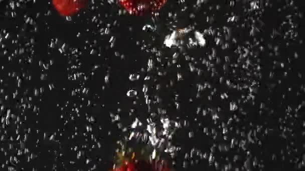 Fallende frische Erdbeeren, die in glitzerndes Wasser auf schwarzem Hintergrund spritzen. Nahaufnahme — Stockvideo