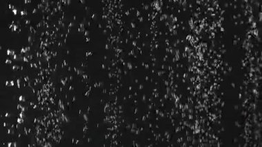 Düşen taze çilek siyah arka plan üzerinde köpüklü suya sıçrayan. Yakın çekim