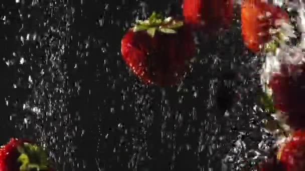 Fallande färska jordgubbar och körsbär stänker i kolsyrat vatten på svart bakgrund. Närbild — Stockvideo