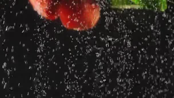 Pepino e tomate fatias salpicando na água sobre fundo preto. Legume fresco na água com bolhas. Comida orgânica, estilo de vida saudável, dieta. Movimento lento — Vídeo de Stock
