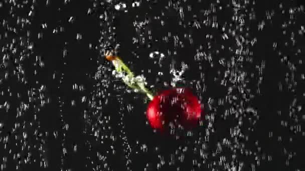 Tombant cerises fraîches éclaboussant dans l'eau pétillante sur fond noir. Fruits dans l'eau. De la nourriture biologique. Au ralenti. Gros plan — Video