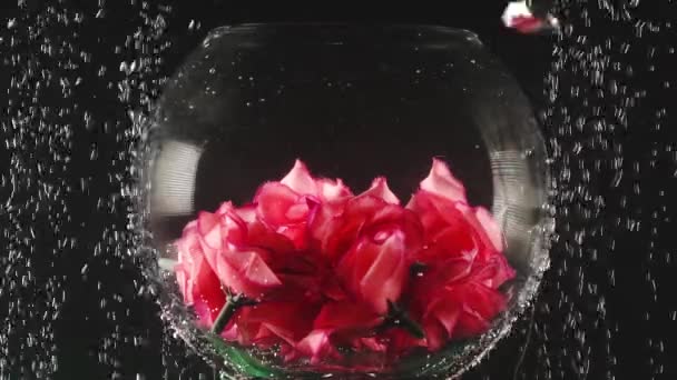 Bol rond transparent avec les fleurs artificielles à l'intérieur sous l'eau sur le fond noir. Beauté sous-marine. Concept de fleur, floristique — Video