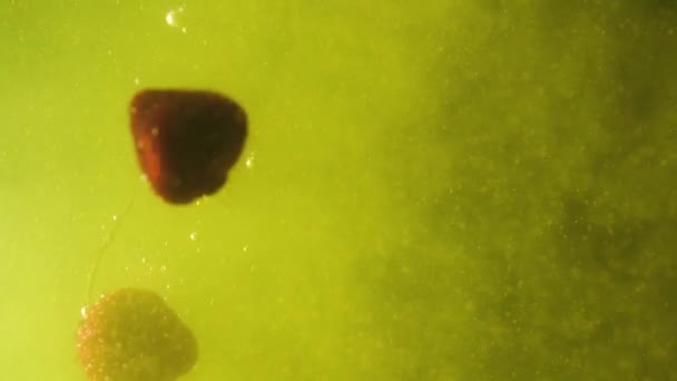 Клубника падает в желтую воду с пыльцой. Свежие ягоды в воде. Органические ягоды, здоровая пища. Медленное движение — стоковое видео
