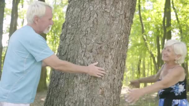 Feliz pareja madura abrazando el árbol grueso tocándose las manos. Hombre y mujer mayores relajándose juntos. Ocio exterior — Vídeos de Stock