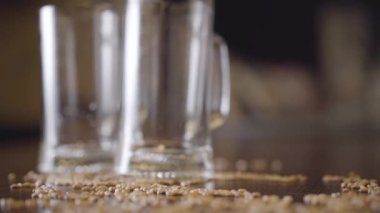 Erkek el masada yakın çekim yarım boş bira cam koyar. Fıstık masaya dağılmış. Reklam konsepti.