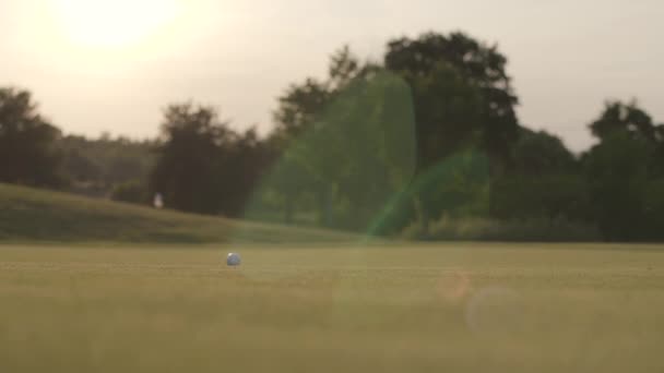 Golf topu güneş ışınları çim üzerinde yatıyor. Tanınmayan olgun bir adam bir Golf Kulübü ile topu hareket. Yaz tatilinde. Yavaş hareket. — Stok video