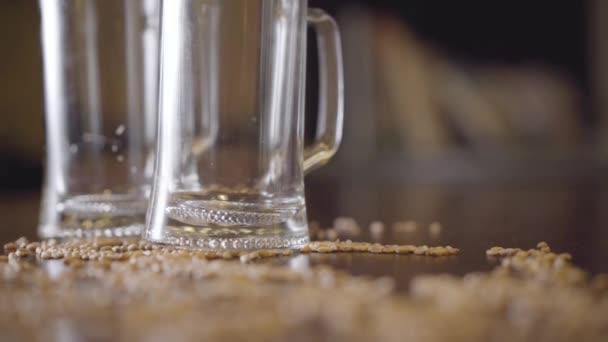 Dos vasos vacíos de cerveza de pie sobre la mesa en el primer plano del bar. Mano masculina poniendo tercer vaso sobre la mesa. Semillas de cebada al lado de los vasos. Elaboración de cerveza natural, sabor brillante del producto — Vídeos de Stock